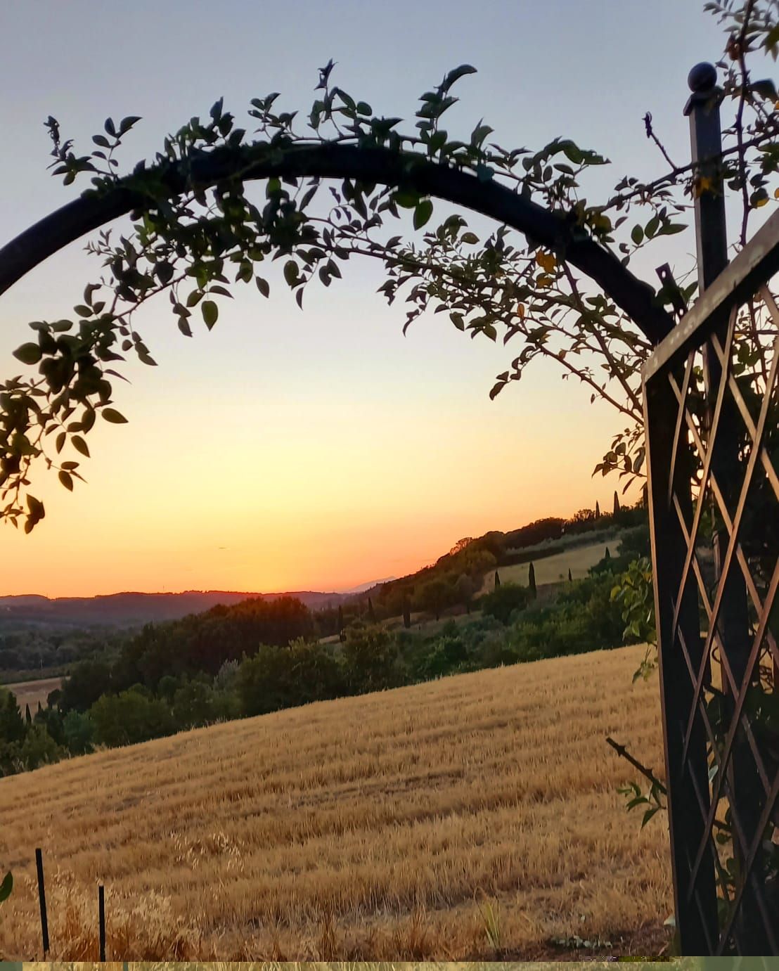 Villetta con giardino privato immersa nel verde delle colline di Scandicci